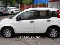 Usata Fiat Panda 70 CV (51 kW) 2024 Bianco Utilitaria