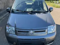 Usata Fiat Panda 4x4 60 CV (44 kW) 2009 Grigio Utilitaria