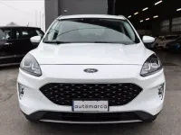 Usata Ford Kuga Business Edition 120 CV (88 kW) 2021 Bianco SUV