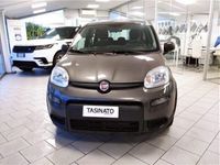 usata Fiat Panda Cross 1.0 FireFly S&S Hybrid City usato