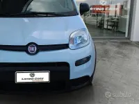 Usata Fiat Panda S 70 CV (51 kW) 2024 Bianco Utilitaria