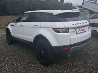 Usata Land Rover Range Rover evoque Pure 150 CV (110 kW) 2014 Bianco SUV