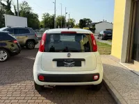 Usata Fiat Panda Easy 69 CV (50 kW) 2019 Bianco Utilitaria