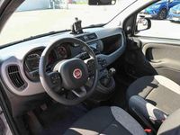 Usata Fiat Panda City Life 70 CV (51 kW) 2022 Grigio Utilitaria