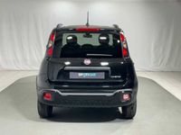 usata Fiat Panda Cross Cross 1.0 FireFly S&S Hybrid nuova a Caspoggio