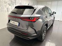 usata Lexus NX450h+ NX 450h+ Plug-in 4WD Premium