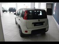 usata Fiat Panda 3ª serie 1.0 FireFly S and S Hybrid City Life