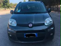 Usata Fiat Panda Lounge 69 CV (50 kW) 2017 Grigio Utilitaria