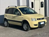 Usata Fiat Panda 4x4 Climbing 69 CV (50 kW) 2007 Giallo Utilitaria