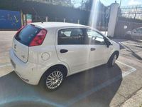 Usata Fiat Punto Evo 69 CV (50 kW) 2015 Bianco Utilitaria