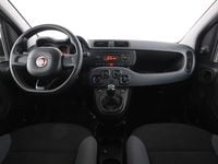 Usata Fiat Panda 95 CV (69 kW) 2016 Grigio Utilitaria