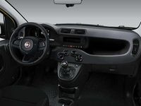 Nuova Fiat Panda S 69 CV (50 kW) 2026 Giallo Utilitaria