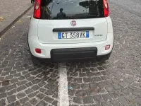 Usata Fiat Panda City Life 69 CV (50 kW) 2024 Utilitaria