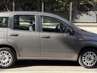 Usata Fiat Panda Easy 69 CV (50 kW) 2020 Grigio Utilitaria