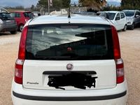 Usata Fiat Panda 2011 Utilitaria