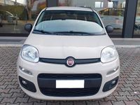 Usata Fiat Panda Easy 69 CV (50 kW) 2017 Utilitaria
