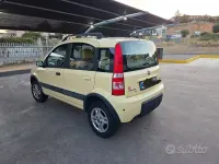 Usata Fiat Panda 4x4 Climbing 60 CV (44 kW) 2005 Giallo Utilitaria