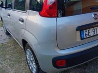 Usata Fiat Panda Active 69 CV (50 kW) 2021 Argento Utilitaria