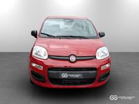 Nuova Fiat Panda Icon 69 CV (50 kW) 2025 Rosso passione pastello rosso passione pastello Utilitaria