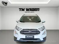 Usata Ford Ecosport Titanium 95 CV (69 kW) 2020 Bianco SUV