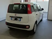 Usata Fiat Panda Lounge 95 CV (69 kW) 2018 Bianco Utilitaria