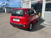 Usata Fiat Panda Easy 69 CV (50 kW) 2021 Rosso Utilitaria
