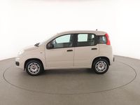 Usata Fiat Panda Easy 70 CV (51 kW) 2016 Beige Utilitaria