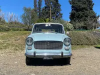 Usata Fiat 1100D 50 CV (36 kW) 1964 Blu/azzurro Berlina