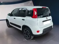 Gebraucht Fiat Panda Street 69 PS (50 kW) 2021 Weiß Kleinwagen