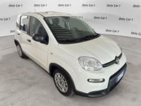 Usata Fiat Panda S 69 CV (50 kW) 2023 Bianco Utilitaria