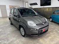 Usata Fiat Panda S 70 CV (51 kW) 2022 Grigio Berlina
