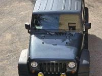 Usata Jeep Wrangler Unlimited Sahara 177 CV (130 kW) 2008 Grigio SUV