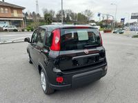 usata Fiat Panda 1.0 firefly Hybrid 70CV + SCHERMO BLUETOOTH