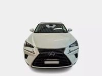 Usata Lexus NX300h Executive Line 155 CV (114 kW) 2019 Bianco SUV