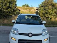 Usata Fiat Panda 4x4 75 CV (55 kW) 2014 Bianco Utilitaria