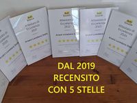 Usata Ford Fiesta Titanium S 95 CV (69 kW) 2020 Grigio Utilitaria