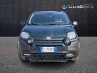 Usata Fiat Panda Cross Cross 69 CV (50 kW) 2025 Verde foresta Utilitaria