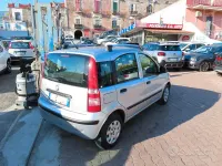 Usata Fiat Panda Dynamic 69 CV (50 kW) 2011 Grigio Utilitaria