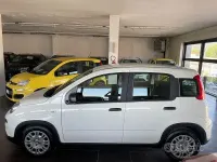 Usata Fiat Panda S 70 CV (51 kW) 2024 Bianco Utilitaria