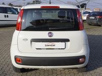 Usata Fiat Panda Easy 69 CV (50 kW) 2018 Bianco Berlina
