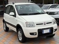 Usata Fiat Panda 4x4 Climbing 75 CV (55 kW) 2011 Bianco divino Utilitaria