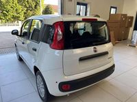 Usata Fiat Panda Icon 69 CV (50 kW) 2024 Bianco Utilitaria