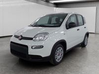 Usata Fiat Panda S 70 CV (51 kW) 2023 Bianco Utilitaria