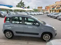 Usata Fiat Panda Lounge 69 CV (50 kW) 2019 Grigio Utilitaria