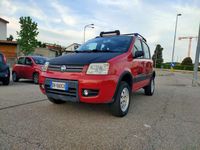 Usata Fiat Panda 4x4 60 CV (44 kW) 2006 Rosso Utilitaria