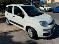 Usata Fiat Panda 69 CV (50 kW) 2019 Bianco Utilitaria