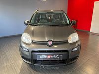 Usata Fiat Panda City Life 71 CV (52 kW) 2022 Grigio Utilitaria