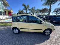 Usata Fiat Panda Active 54 CV (39 kW) 2006 Giallo Utilitaria