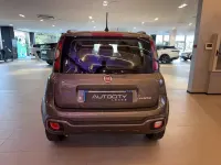 Usata Fiat Panda Cross Cross 69 CV (50 kW) 2022 Grigio Utilitaria