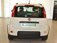 usata Fiat Panda 1.0 - my21 1.0 70cv hybrid city life